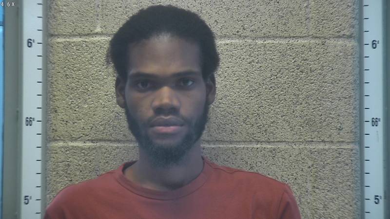 Booking photo of Noel Phender