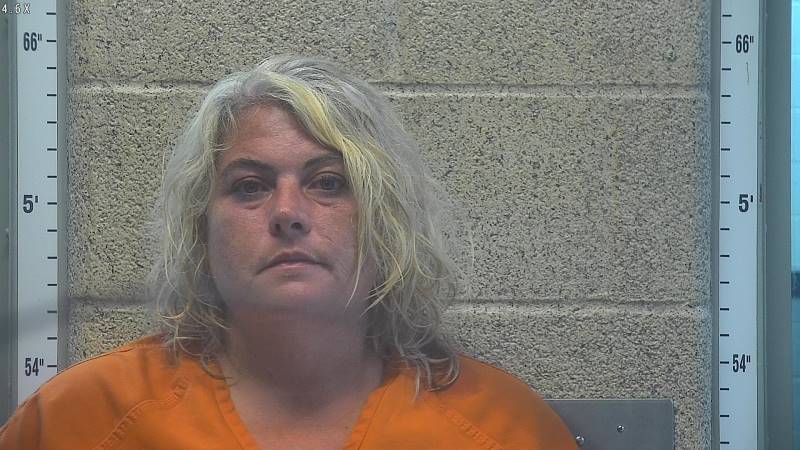 Booking photo of Erin Bukhari