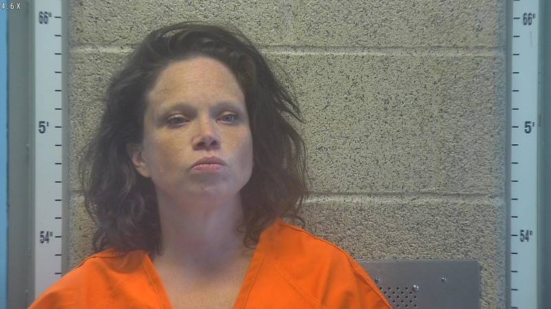 Booking photo of Ana Engesath