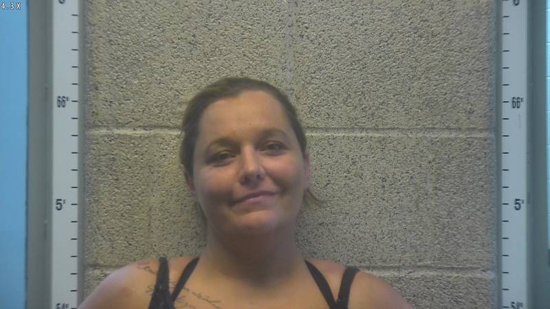 Booking photo of Ashley Stone