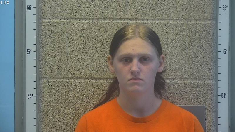 Booking photo of Ashley Babbs