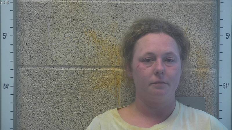 Booking photo of Kristine Pruiett