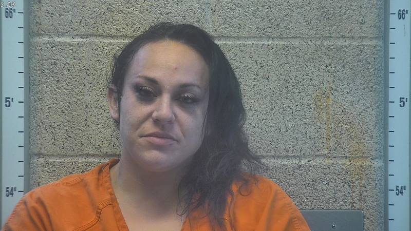 Booking photo of Alicia Folsom