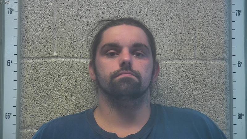 Booking photo of Bryan Mclevain