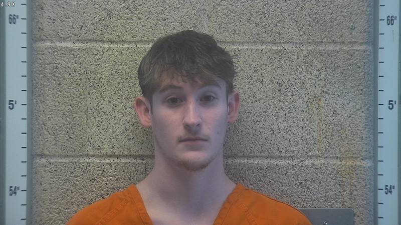 Booking photo of Alex Lyons