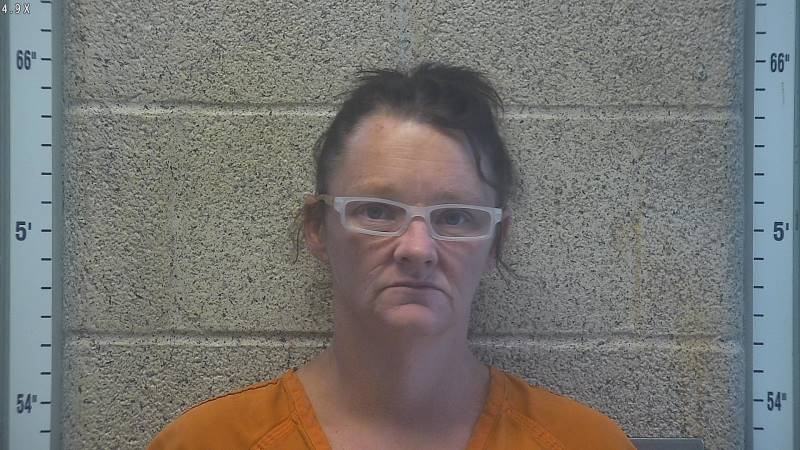 Booking photo of Lisa Cole