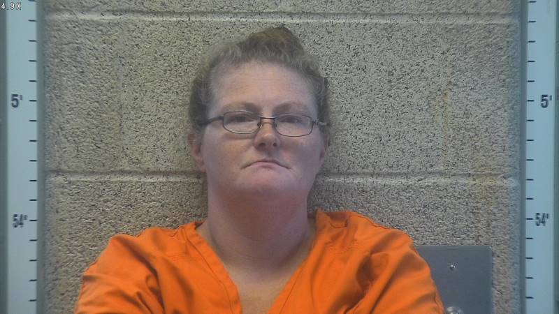 Booking photo of Lyn Horton