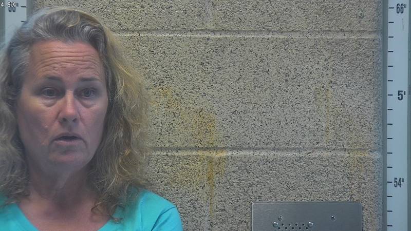 Booking photo of Julie Redler