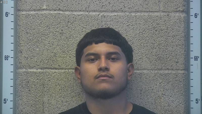 Booking photo of Mario Palomin