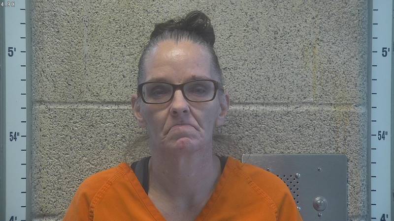 Booking photo of Jenny Roy