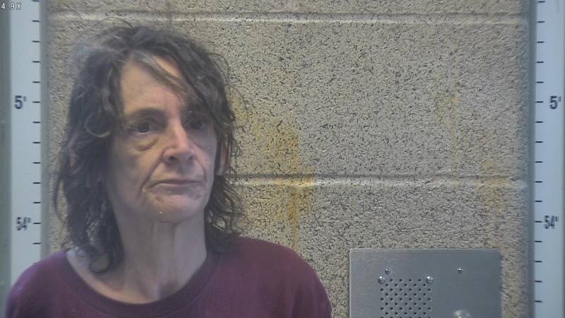 Booking photo of Denise Lavallie
