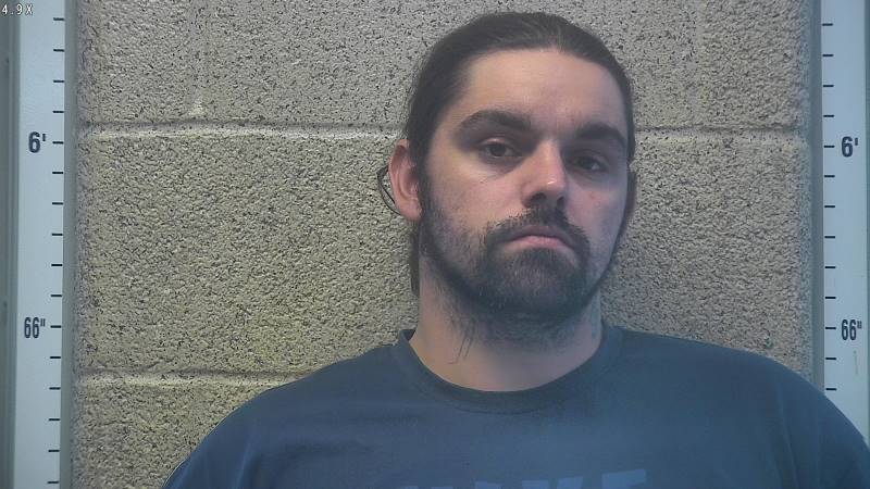 Booking photo of Bryan Mclevain