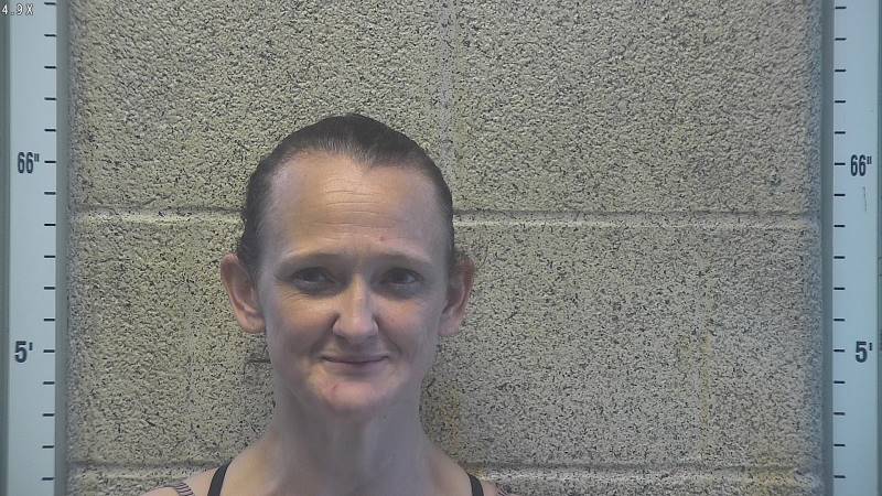 Samantha Turner booking photo