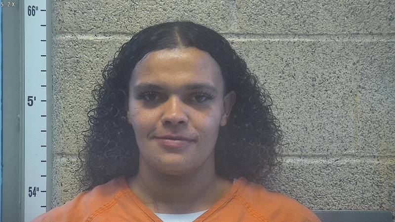 Vanissa Bender booking photo