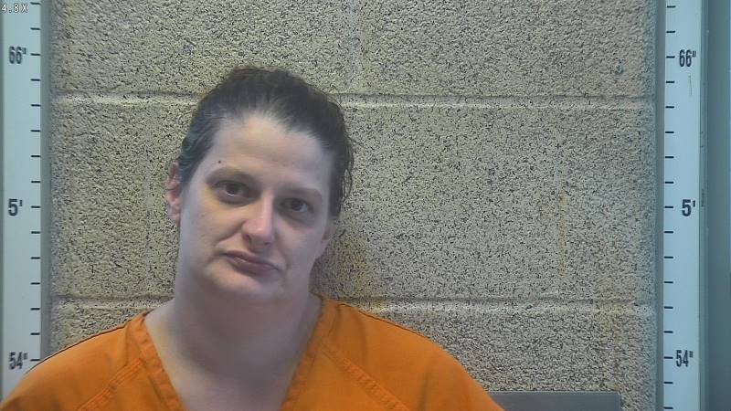 Erica Sanders booking photo