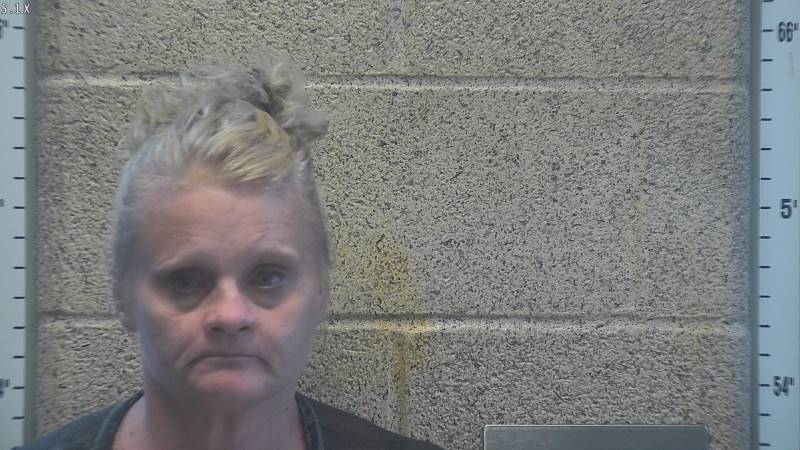 Booking photo of Misty Lamb-robb