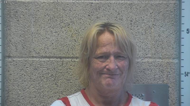 Booking photo of Christin Ziehr
