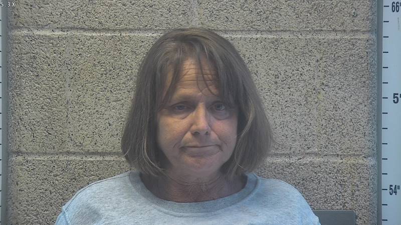 Booking photo of Tina Gordon