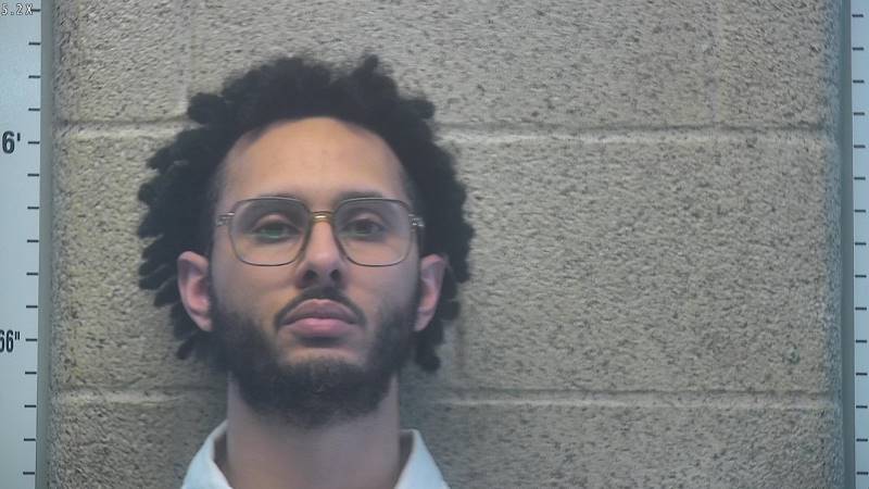 Booking photo of Aydin Harrison