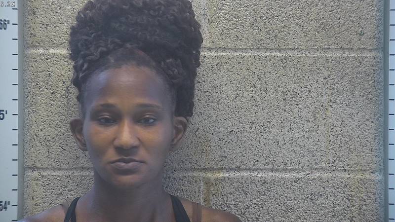 Booking photo of Brittany Easley-lunneborg