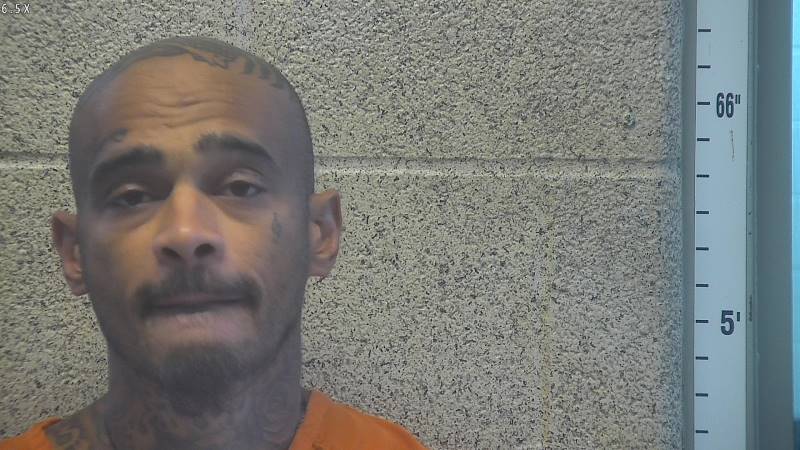 Booking photo of Matthew Cole