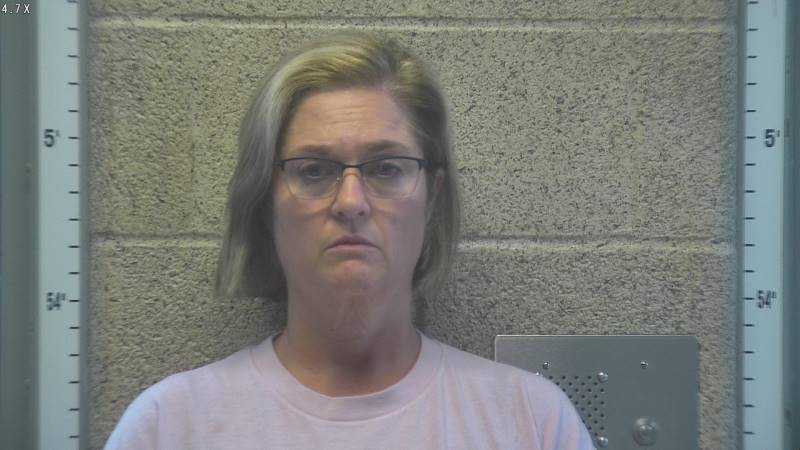 Booking photo of Heidi Todd