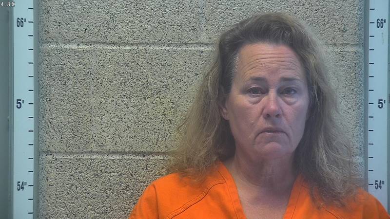 Booking photo of Julie Redler