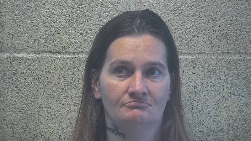 Booking photo of Brittany Stone