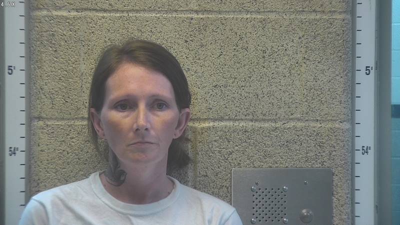 Booking photo of Jessica Fraley