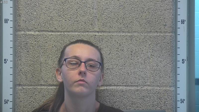 Booking photo of Melisa Long