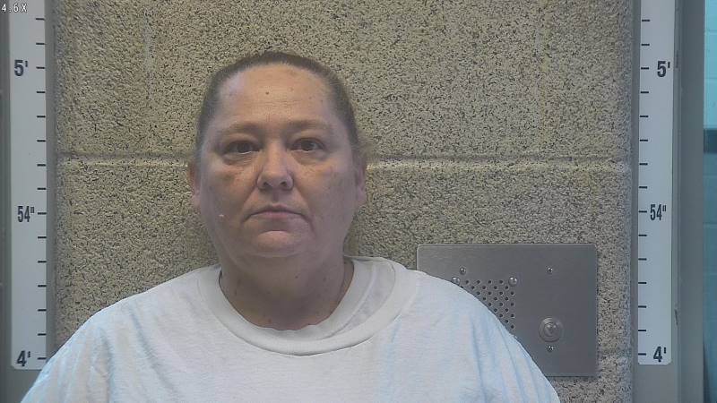 Booking photo of Audra Johnston
