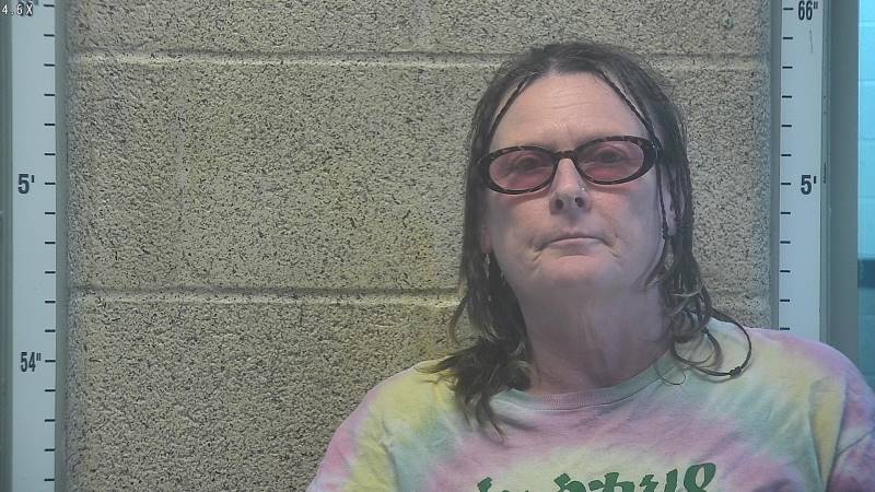 Booking photo of Lisa Robinson