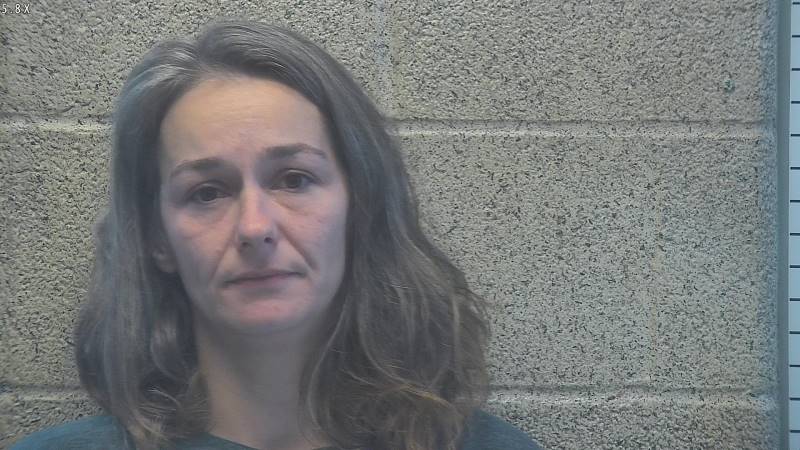 Booking photo of Ashley Henshaw