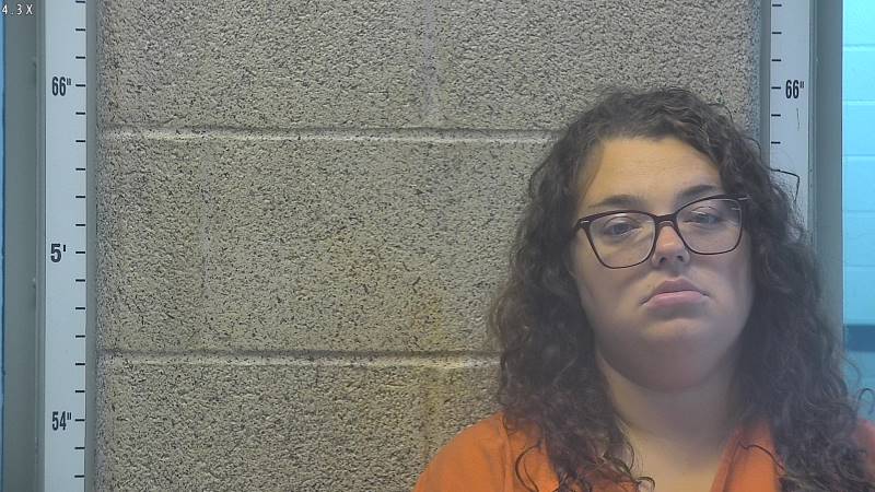 Booking photo of Ashley Johnson