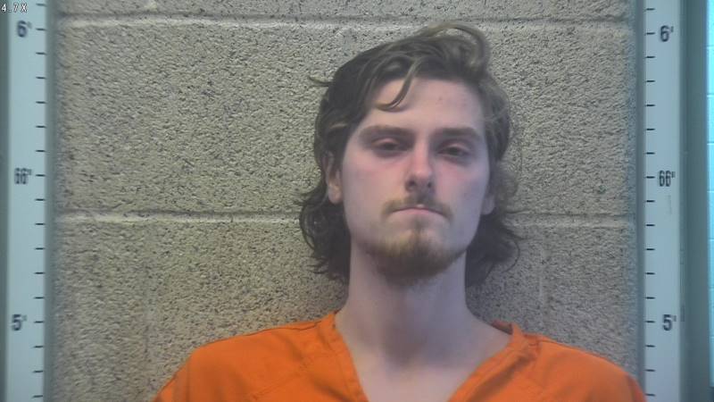 Booking photo of Elijah Wood