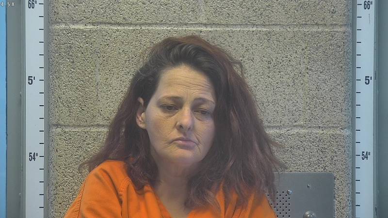 Booking photo of Carmen Frye