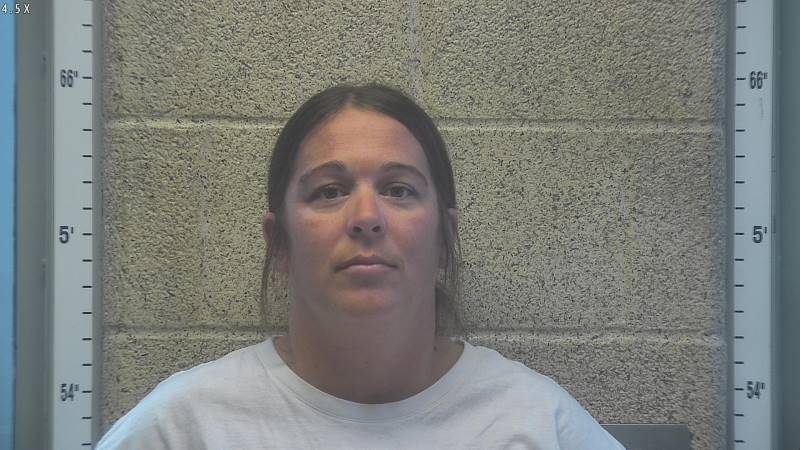 Booking photo of Brittany Hamilton