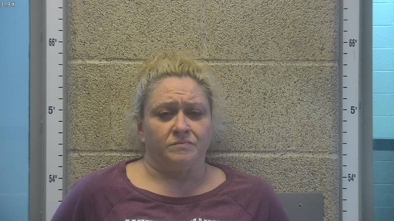 Booking photo of Dawn Linberg
