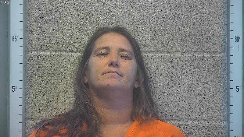 Booking photo of Camilla Cobb
