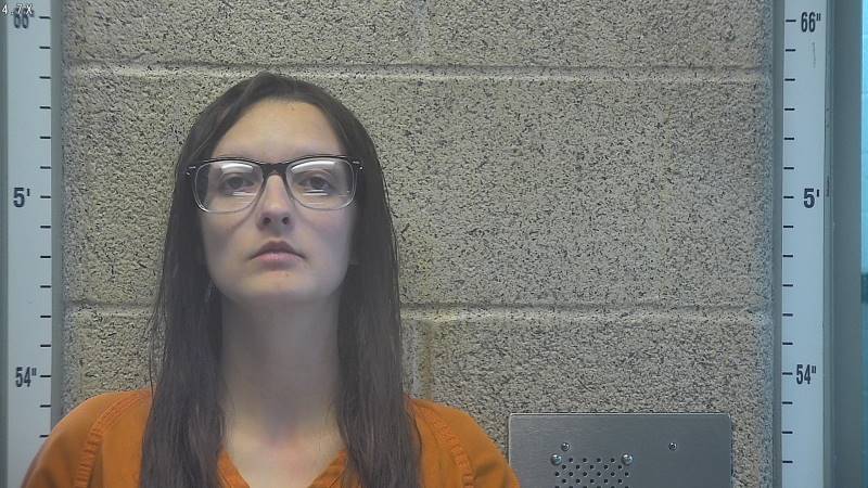 Booking photo of Sierra Lutz