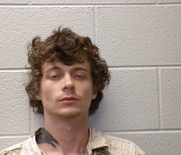 Booking photo of Tristen Bradley