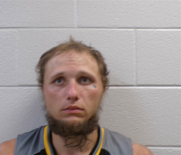 Booking photo of Tyler Farmer