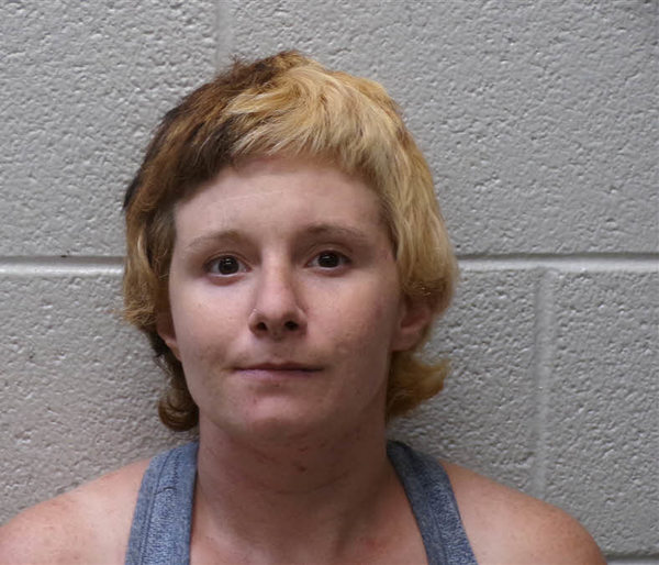 Booking photo of Flisha Johnson
