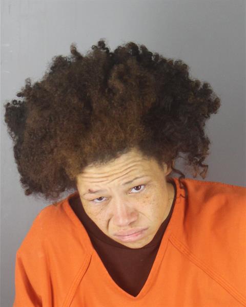 Booking photo of Amberlee Smith