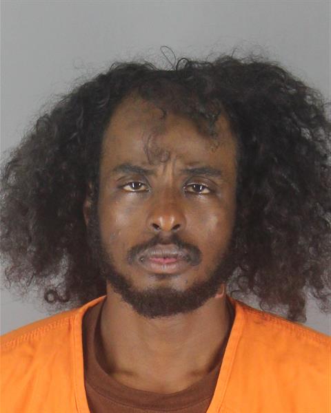 Booking photo of Hussien Mohamed