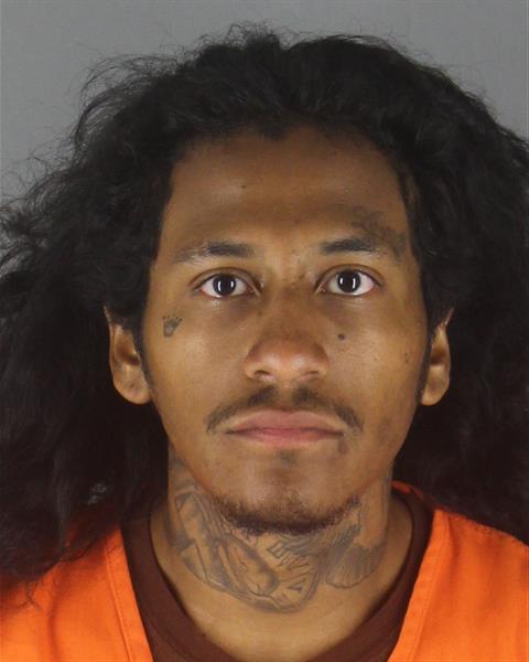 Booking photo of Michael Flammond