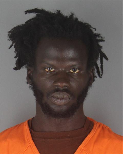 Booking photo of Paul Ochan