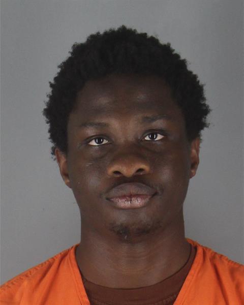 Booking photo of Ralph Wolo