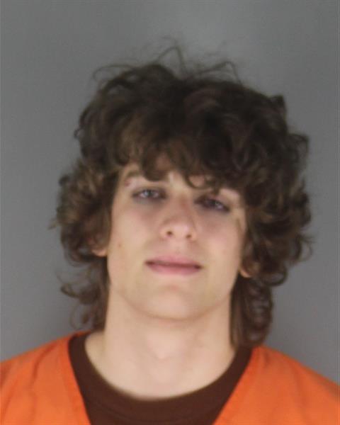 Booking photo of Finnian Sarver