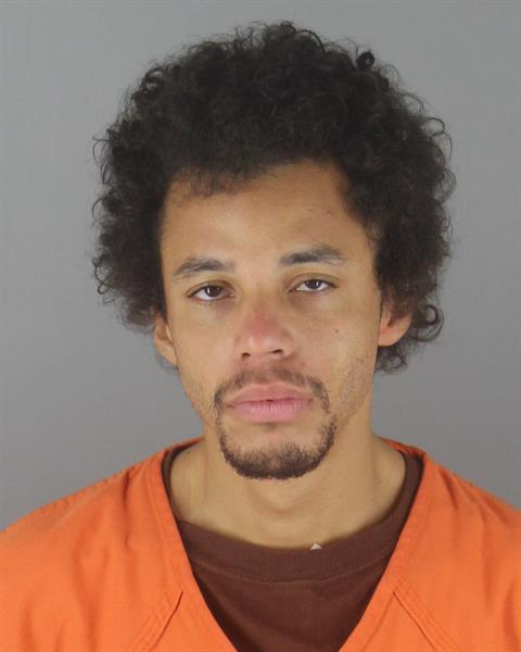 Booking photo of Estafa Anderson